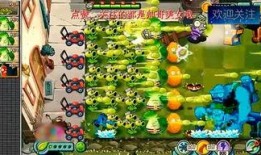 冷山视频在线观看,穿越时空的深情之旅